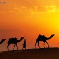 راه ابریشم راه ابریشم